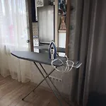 Art Cat Narva