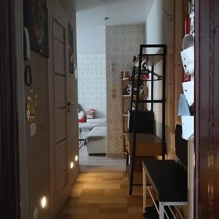 Station And Border Comfort Art And Cats комфорт у вокзала и границы арт и кот Narva