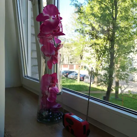 Vaksali Apartment Narva