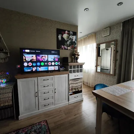 Narva Art Cat Apartment