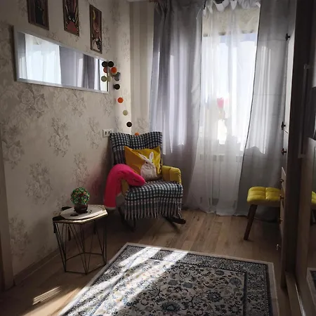 Station And Border Comfort Art And Cats комфорт у вокзала и границы арт и кот Daire