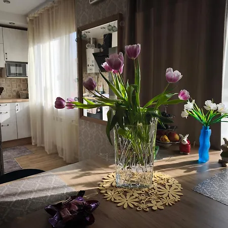 Station And Border Comfort Art And Cats комфорт у вокзала и границы арт и кот Narva