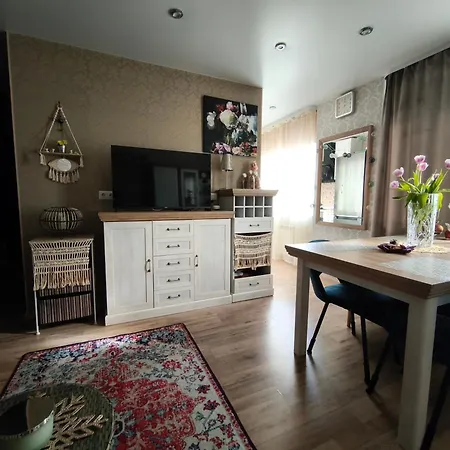 Apartman Station And Border Comfort Art And Cats - комфорт у вокзала и границы арт и кот