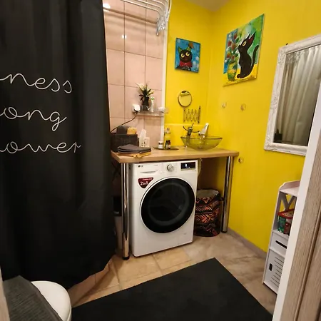 Station And Border Comfort Art And Cats комфорт у вокзала и границы арт и кот Daire *