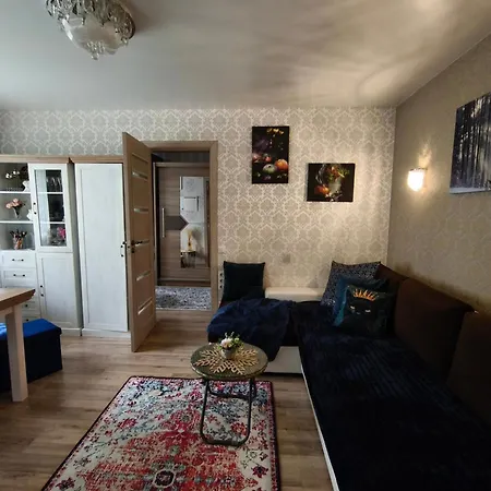 Station And Border Comfort Art And Cats - комфорт у вокзала и границы арт и кот Apartman *