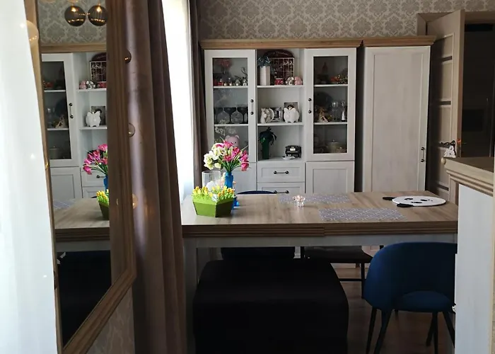 Narva Art Cat Apartment 公寓