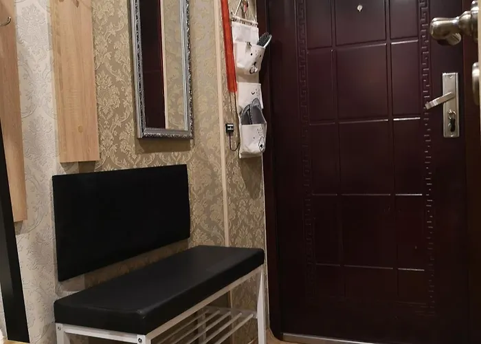 公寓 Narva Art Cat Apartment 纳尔瓦