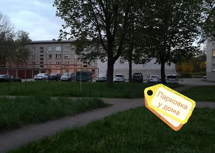 Narva Art Cat Apartment 纳尔瓦