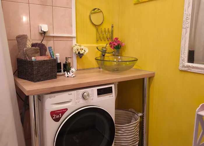 公寓 Narva Art Cat Apartment