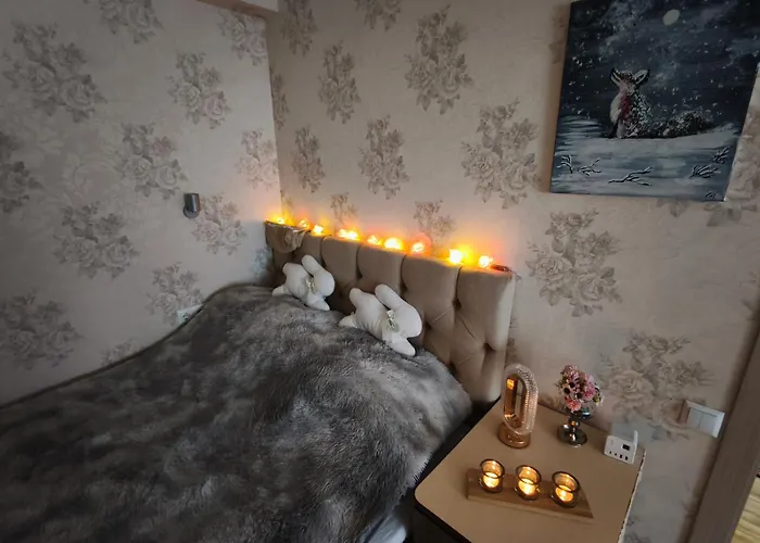 公寓 Narva Art Cat Apartment *