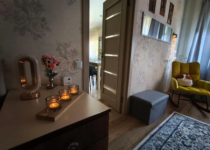 Narva Art Cat Apartment 公寓 *