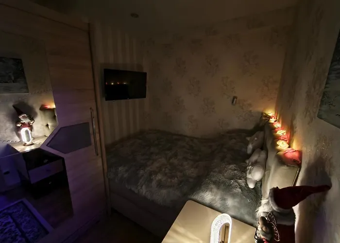 公寓 Narva Art Cat Apartment *