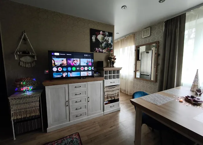 Narva Art Cat Apartment