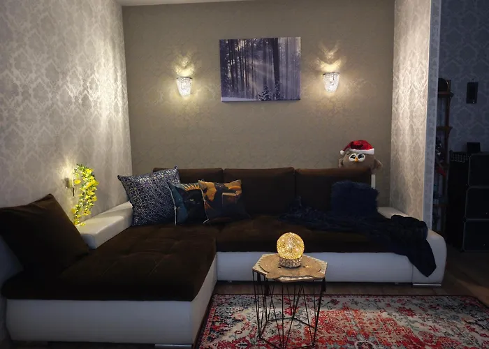 Narva Art Cat Apartment 公寓 *