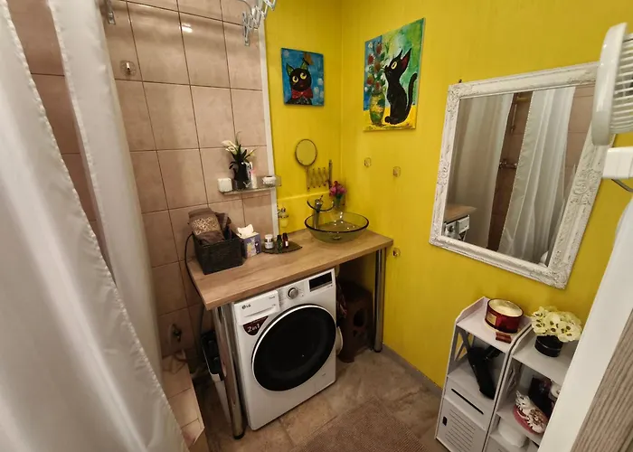 Narva Art Cat Apartment