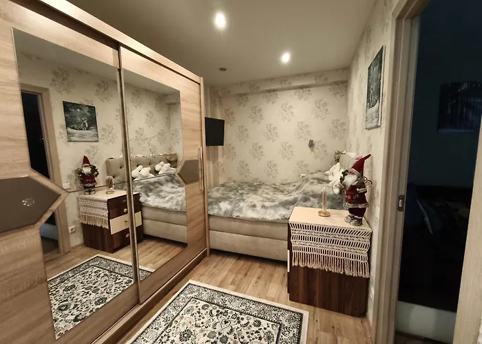 Narva Art Cat Apartment 公寓 纳尔瓦