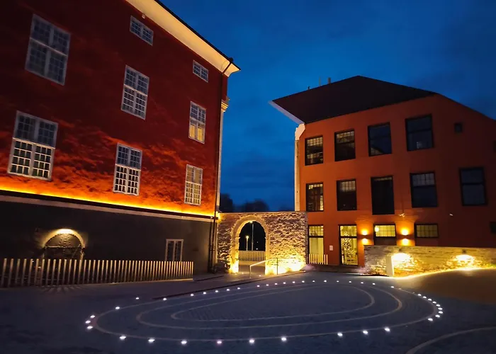 Narva Art Cat Apartment 公寓