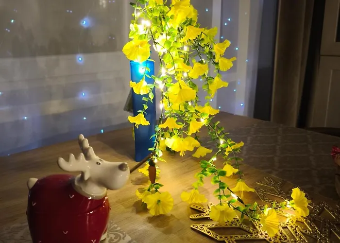 Lägenhet Narva Art Cat Apartment *